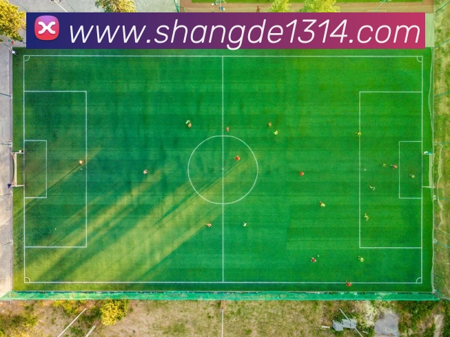 StarSky Sports平台生态图